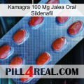 Kamagra 100 Mg Oral Jelly Sildenafil 06